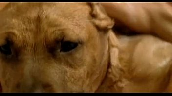 video леклан три танцующих рабыни 2004 sex