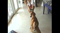 video ゲージお願いします11非常にまれですコレクター用clip1 sex