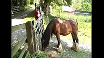 video ハーモニーヤングハーロッツ乗馬学校シーン3抜粋2 sex