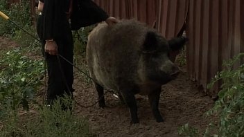 video orsay peed in farm 1 sex