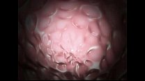 video горячие сучки ждут секса ищи их на лучшем сайте знакомств sex