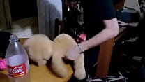 video rocco siffredi потрясающая оргия кончает sex