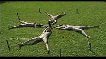 video 豚のように結ばれたブルネットのおいしいベイビー sex