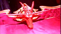 video ハーモニー悪魔の売春婦シーン6ビデオ3美しい十代のお尻クソ女の子 sex