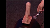 video howard stern tera patrick и siobahn катаются на сибиане sex