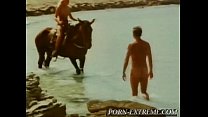 video почему девушки любят лошадей sex