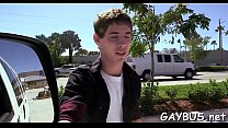 video wild dong riding inside a car sex