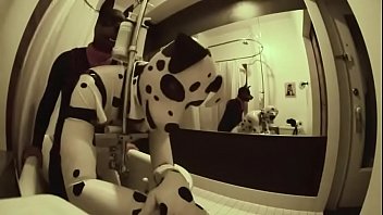 video sunny dirty pups in the hotel room sex