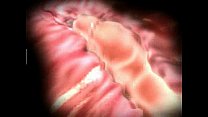 video 3d сперма с большими сиськами часть 5 sex