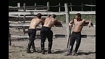 video горячие конюшни трахаются и отсасывают sex