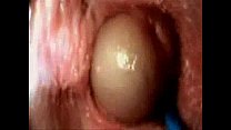 video 内膣セックス sex