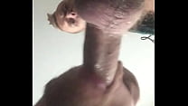 video gay bear sucking dick at bed hairy cock sex