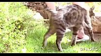 video 処女は彼女の最初のコックを試みます sex
