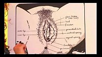 video учебник о оральном сексе для женщин sex