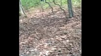 video дрочу на общественной дороге с выстрелом из спермы sex