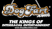 video blacks thugs breaking down hard sissy white sissy boyz 09 sex