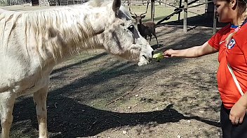 video я весь промок увидев размер коня желаю чтобы мой парень был таким пэти батт эль торо де оро sex