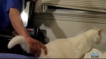 video ブーマージャコビーミラージャーキング sex