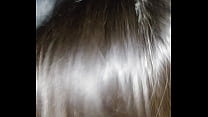 video nl xr21 sex