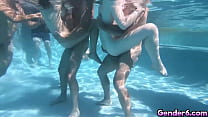 video пол 6 приносит вам trans pool party совершенно новый опыт у бассейна korra del rio khloe kay aubrey kate и shiri sex
