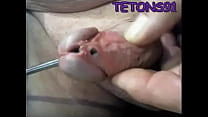 video проколотый хвост sex
