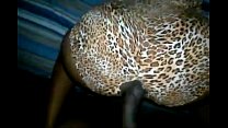 video 彼女は彼女がsumgud猫を得たことを知っています sex