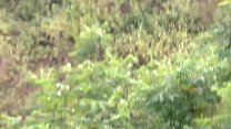 video nam thanh niên äáng giáa äæáng thá dâm sex