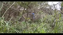 video blackhunterr の労働者が建設現場の後ろで放尿しているヘルパーを監視しているのですがそれは簡単ではありません sex