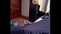 video она приходит в мою комнату и делает это зная что это грех sex