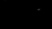 video необратимостьбез возврата обновление 83 папа стоп это неправильно 9 октября 2024 г sex