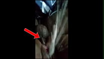 video археологи очень поражены нашедшие неопровержимое доказательство потопла ноева ковчега sex
