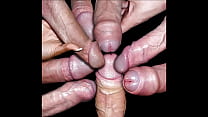 video my favorite cocks 1 sex