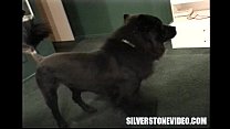 video ナンシーヴィーストラップオンアレックスデーン sex