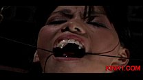 video сногсшибательная горячая девушка лижет большой член sex