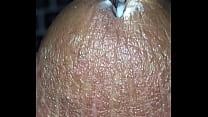 video крупным планом петух звучание sex