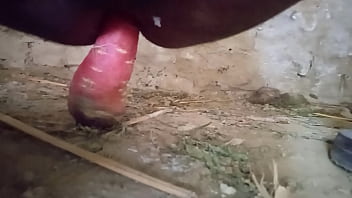 video ホットインドの男性ポルノスターに犯されたホットインドのベイブ sex