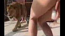 video ебля рядом со львом sex
